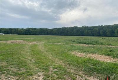 TEREN INTRAVILAN  852MP / FS 17ML / PIPERA / OXFORD / PADURE TEREN INTRAVILAN  852MP / FS 17ML / PIPERA / OXFORD / PADURE - 2