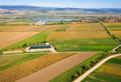 Teren de 18000 mp, în Rotbav - 1