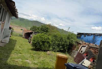 Casă cu 4 camere în Țapu - 4