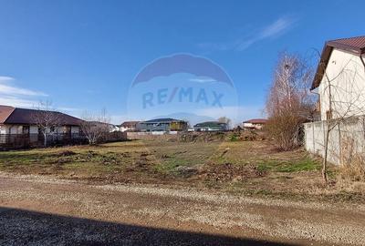 Teren Construcții intravilan de 1056 mp, în Berceni