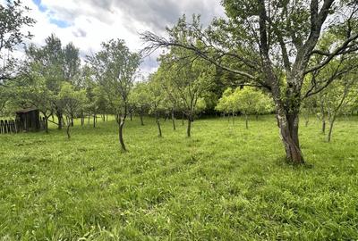 Teren intravilan 3102mp zona Racovita-Blanoiu - 3