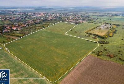Teren agricol extravilan de 50000 mp, în Pișchia - 1