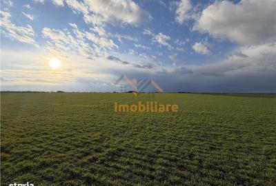 Teren de 24457 mp, în Nojorid - 4