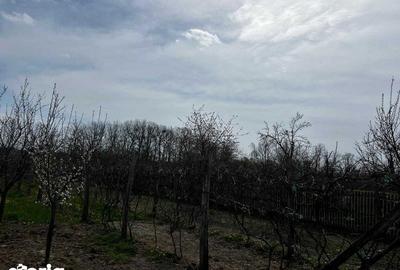 Casă cu 4 camere cu Teren 125 Mp în Central - 2