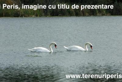 Teren de 735 mp, în Periș - 5