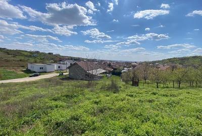 Teren Construcții intravilan de 986 mp, în Oncea