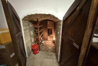 Proprietate deosebita de vanzare in centrul Bacaului- eleganta, istorie si inves - 39