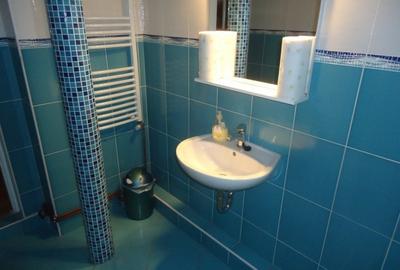 Inchiriere casa pentru locuit/birouri, zona Budiului - 10
