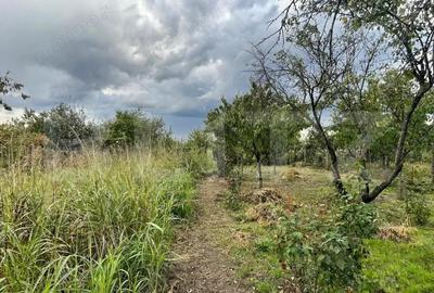 Casă cu 4 camere cu Teren 2368 Mp în Calea București - 5