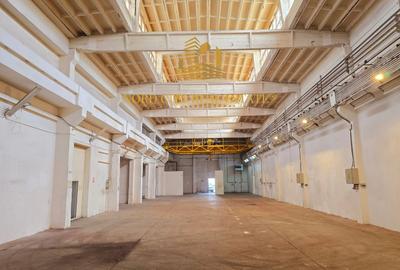 Spațiu industrial, de 2,500 mp, în Central - 12