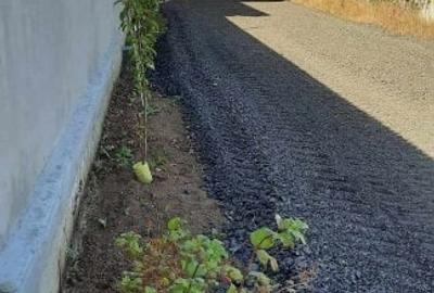 Teren Snagov Ciofliceni Padure - 2
