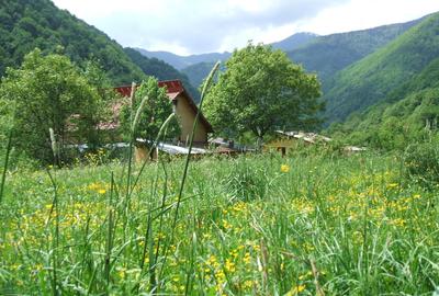 Teren de 1040 mp, în Pantelimon - 6