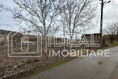 Teren de 1334 mp, în Tilișca - 9