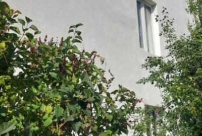 Casă cu 4 camere cu Teren 399 Mp în Central - 10