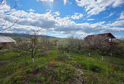 Teren intravilan de 2000 mp, în Bârsău - 4
