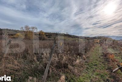 Teren de 2000 mp, în Almașu Mare - 1
