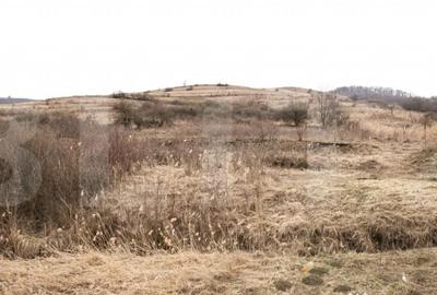 Teren în Borhanci - 14