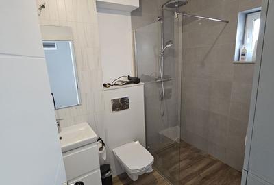 Casă cu 3 camere în Rudicica - 8