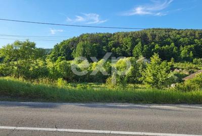 Teren de 7797 mp, în Podiș - 2