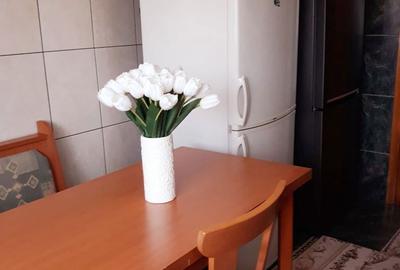 Apartament cu 2 camere semidecomandat în Dărmănești - 6
