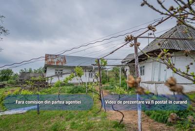 Teren Construcții de 13434 mp, în Ardeoani - 1