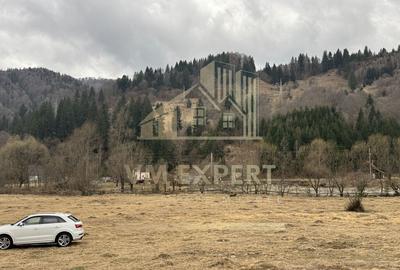 TEREN INTRAVILAN 500 MP SATIC- RUCAR - 3