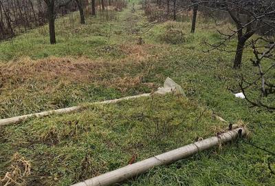 Casă cu 4 camere cu Teren 1450 Mp în Doba - 7