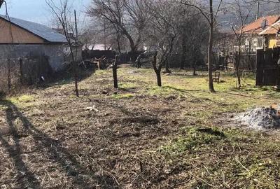 Teren în Balotești - 8