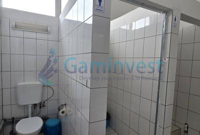 Spațiu industrial, de 560 mp, în Apateu - 10