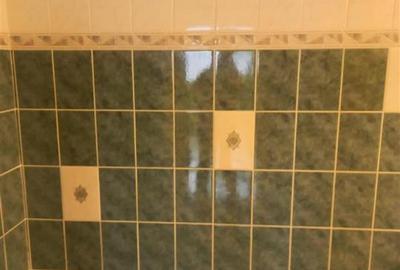 Apartament cu 3 camere decomandat în Călărași - 14