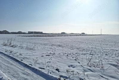 Teren de 520 mp, în Berceni - 4