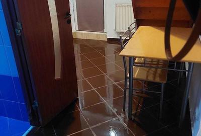 Garsonieră decomandată în Nicolina - 6