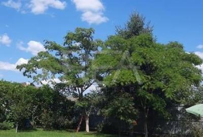 Teren Construcții extravilan de 500 mp, în Titan - 2