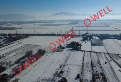 Teren intravilan de vânzare în Chichiș! - 5