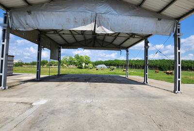 Spatiu industrial productie/ depozitare, Timiș - 14