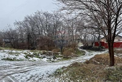 Casă cu Teren 1218 Mp în Vitănești - 17