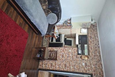 Apartament cu 2 camere decomandat în Bariera Vâlcii - 5