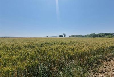 RECO teren intravilan in Fughiu 9 e/mp - 2