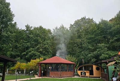 Casă cu 6 camere cu Teren 1000 Mp în Marga - 7