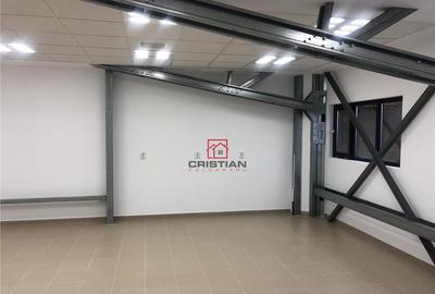 Depozit/hala/spatiu industrial Theodor Pallady - Drumul Int - 30