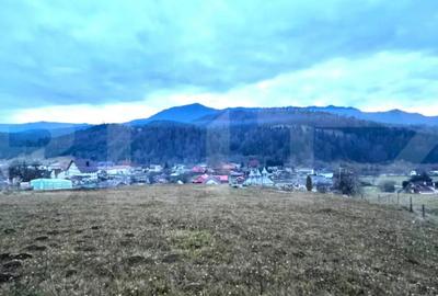 Teren de 2500 mp, în Colibița - 4