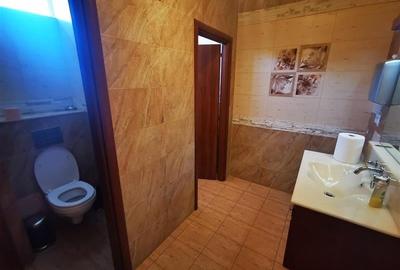 Inchirieri spatii pentru birouri Grozavesti - 190 mp - 10