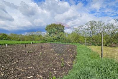 Casă  cu 3 camere, teren intravilan de 1300mp în Ipotești Tișăuți, SV - 32