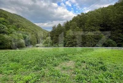 Casa 100 mp utili 4 camere 1,6 ha teren aproape de Trans Apuseana - 3