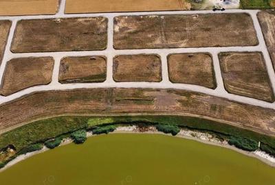 Intravilan In Rate in Frumusani-Pasarea | utilitati gaz, curent | #RG1 - 7