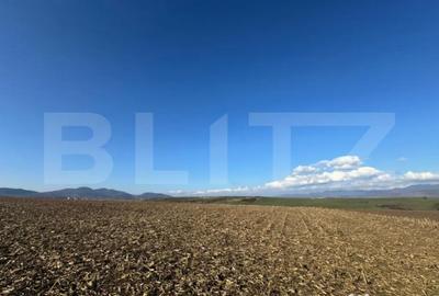 Teren de 5700 mp, în Criș - 2