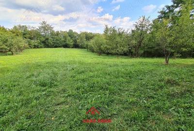 Teren intravilan in Poiana Campina--3287mp--10e - 9