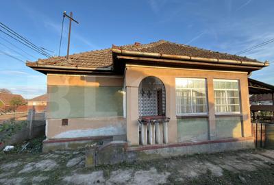 Casa de vanzare, teren 425 mp, zona Petin - 1