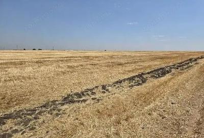 Teren extravilan Zimnicea cota parte 1/6 ID: R2688418 - 2