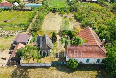 Casa caramida+ teren 3160+ cabana lemn Bencecu de Jos - 1